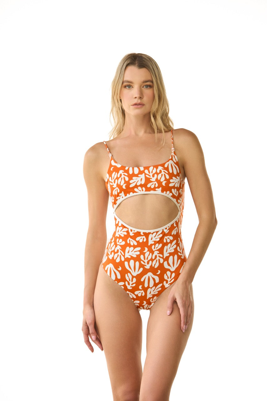 WADI ONE PIECE